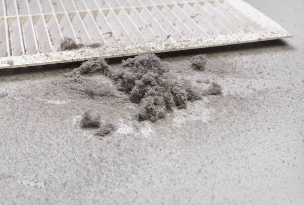 Best Air Duct Cleaning Near Me  in Page, AZ
